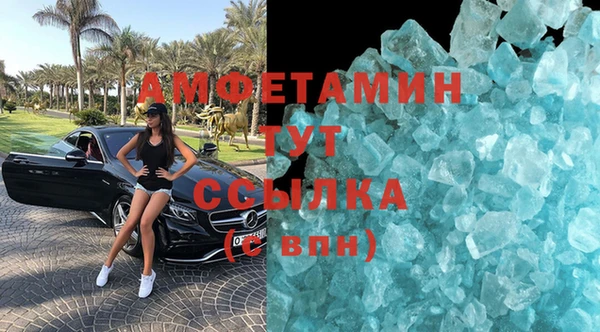 мет Алексин
