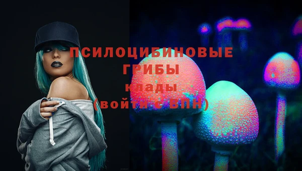 мет Алексин