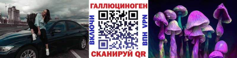 Галлюциногенные грибы прущие грибы  Кропоткин 
